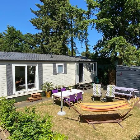 Ruim En Modern Chalet In De Veluwse Bossen Putten Dış mekan fotoğraf