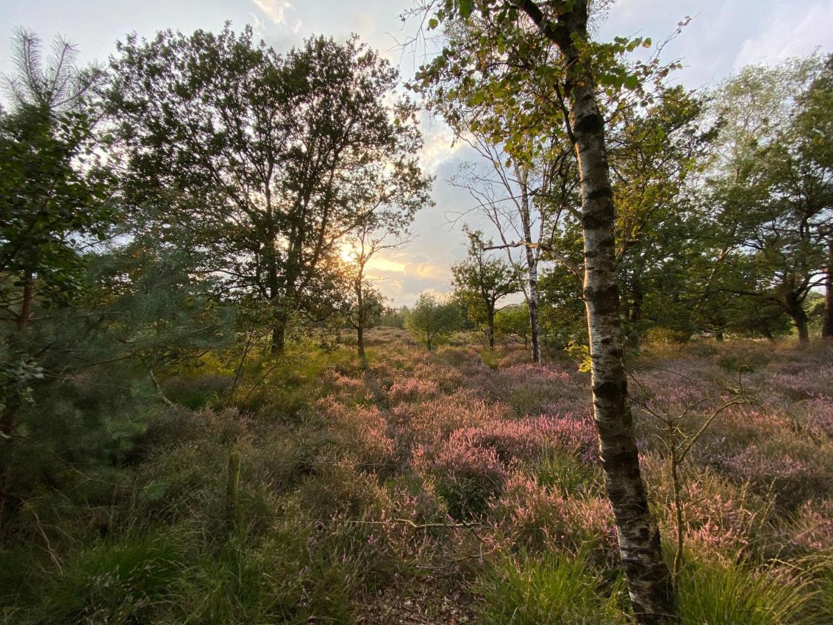 Ruim En Modern Chalet In De Veluwse Bossen Putten Dış mekan fotoğraf