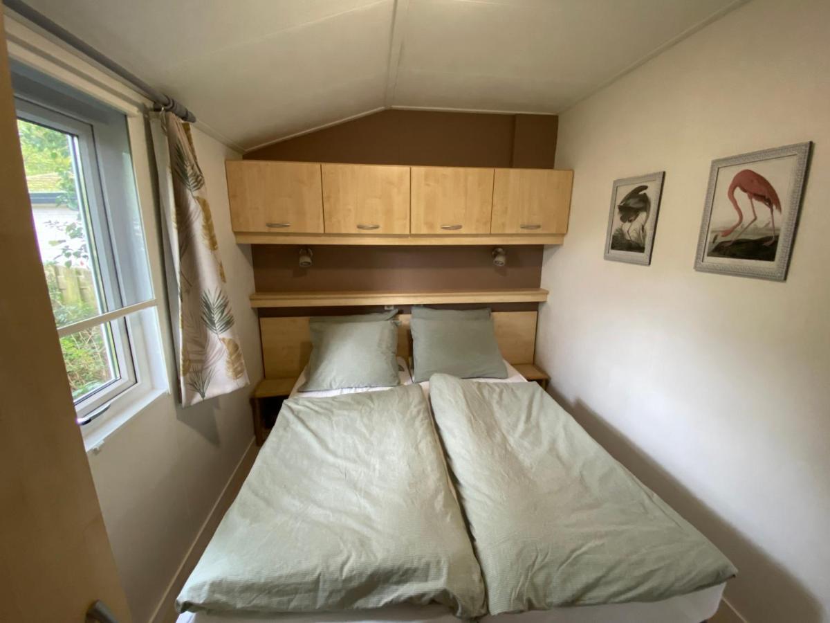 Ruim En Modern Chalet In De Veluwse Bossen Putten Dış mekan fotoğraf
