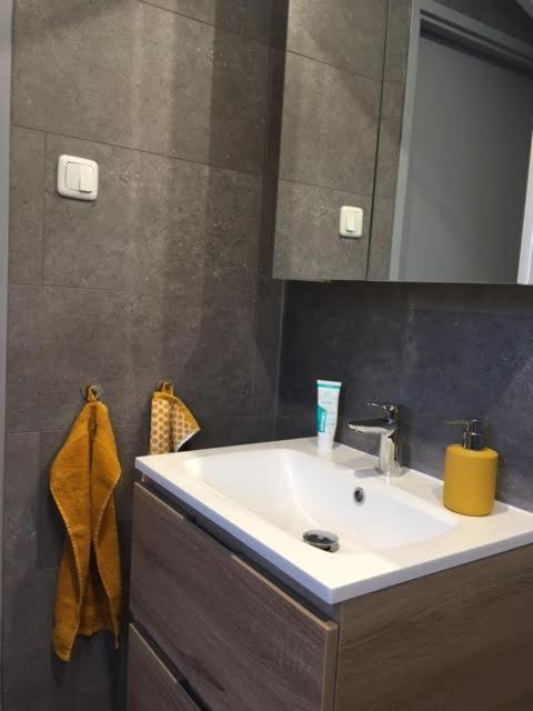Ruim En Modern Chalet In De Veluwse Bossen Putten Dış mekan fotoğraf