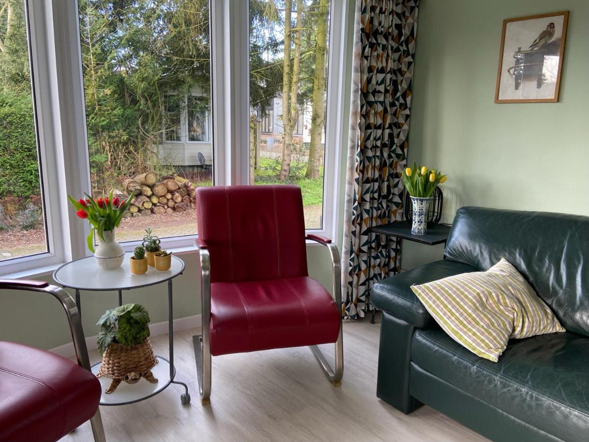 Ruim En Modern Chalet In De Veluwse Bossen Putten Dış mekan fotoğraf