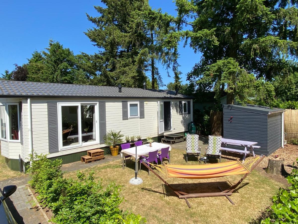 Ruim En Modern Chalet In De Veluwse Bossen Putten Dış mekan fotoğraf